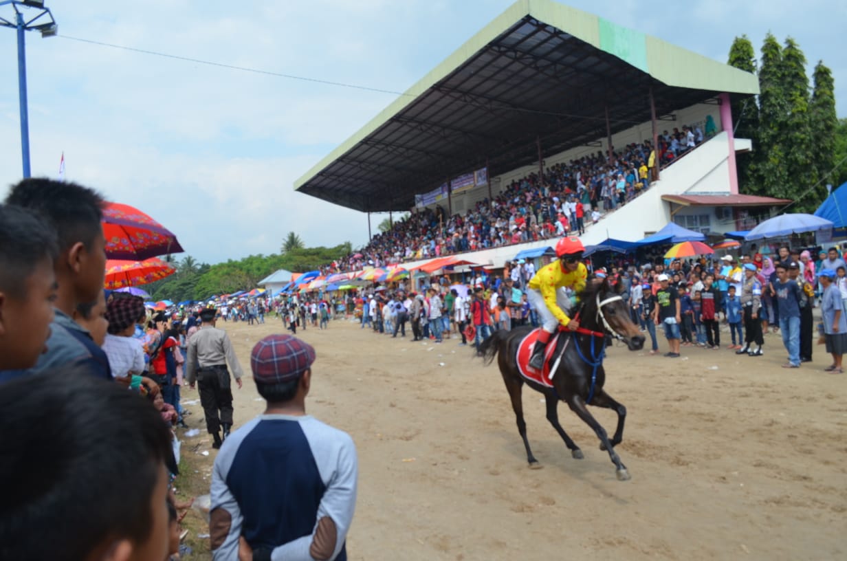 Pacu kuda yang lalu di Payakumbuh